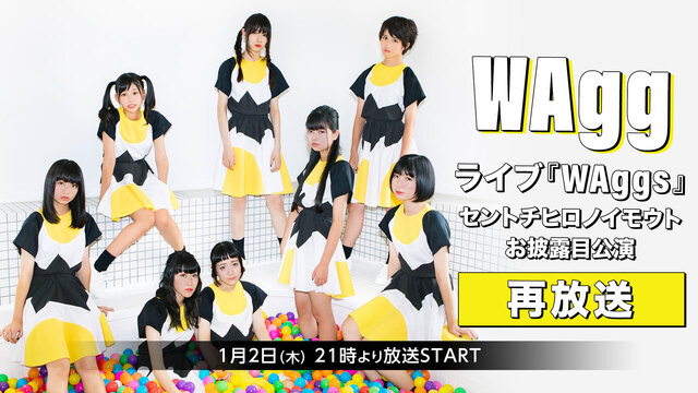 新春【WACK WEEK Day2】WAggライブ『WAggs』セント...