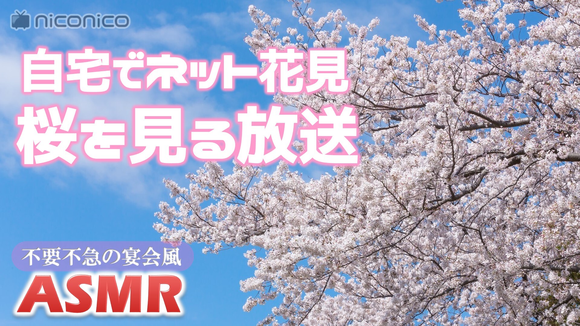 外出自粛でネット花見 快晴時の上野恩賜公園の桜を見る放送 宴会風asmr 03 27 金 17 00開始 ニコニコ生放送