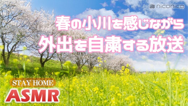 春の小川のせせらぎを感じながら外出を自粛する放送【Stay home ...