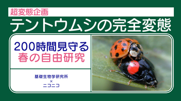 ニコニコ生放送 ニコニコ生放送