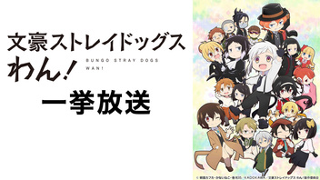 ニコニコ生放送 ニコニコ生放送