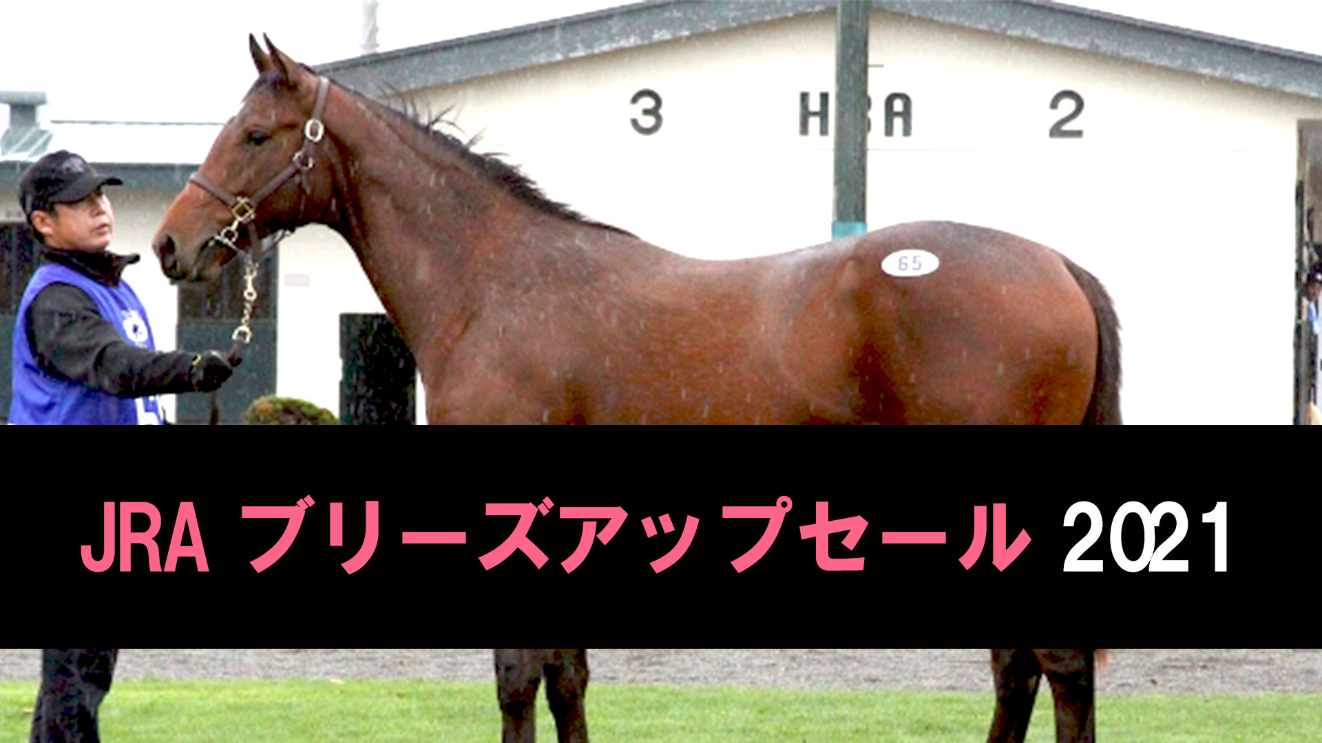 競走馬セリ サラブレッド競り市場21 Jraブリーズアップセール 2日目 21 04 27 火 11 50開始 ニコニコ生放送