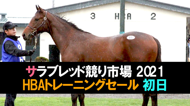 【競走馬セリ】サラブレッド競り市場2021「HBAトレーニングセール」...