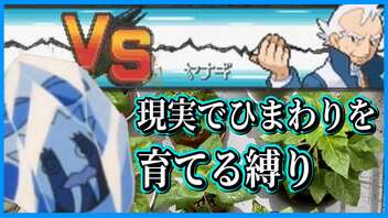 【実況】ヒマナッツが瀕死になったら「現実でひまわりを育てる」縛り（Part⑭）