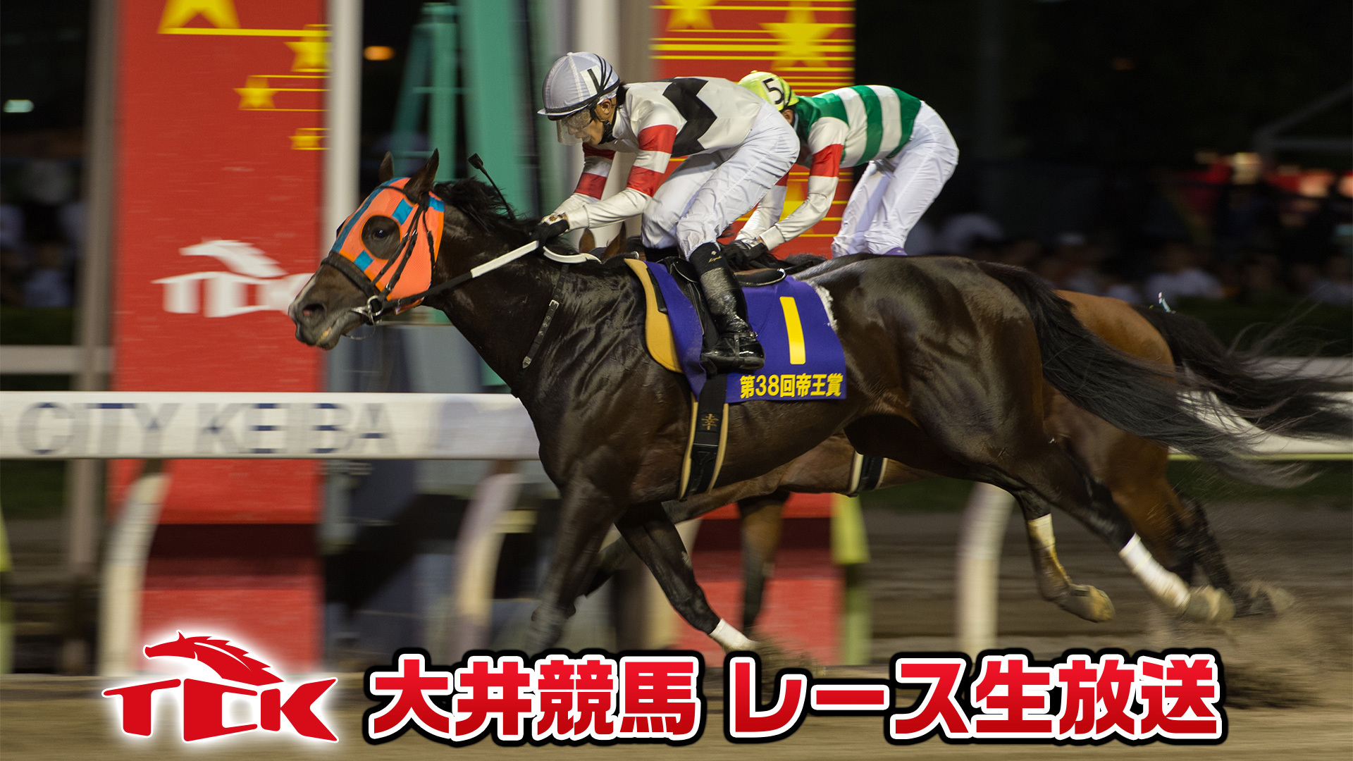 関東 競馬 ライブ 南 南関東4競馬場、全レース映像をライブ中継およびオンデマンド配信