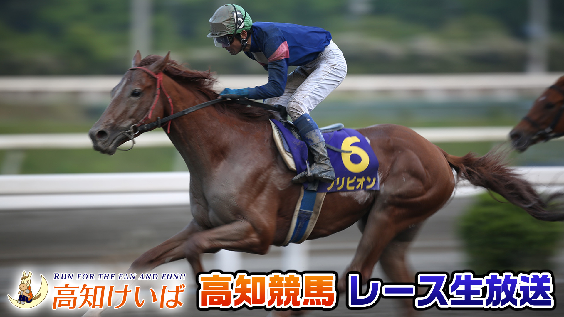 ライブ 高知 競馬 高知競馬ライブカメラ(高知県高知市長浜) USTREAM版