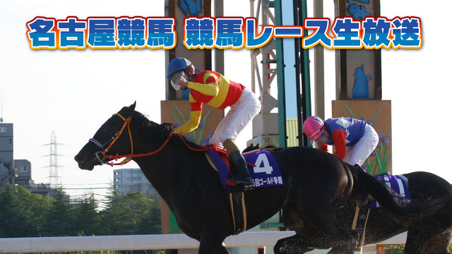 【競馬実況】名古屋競馬 5月1日 【生放送】