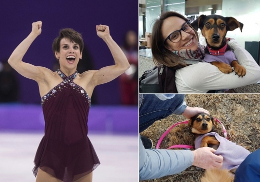 平昌五輪に参加したカナダの女子フィギュア選手 食用の犬を保護 そのほか90匹も保護団体を通じて救助 ニコニコニュース