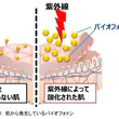 オズマ Ff9 とは オズマとは 単語記事 ニコニコ大百科