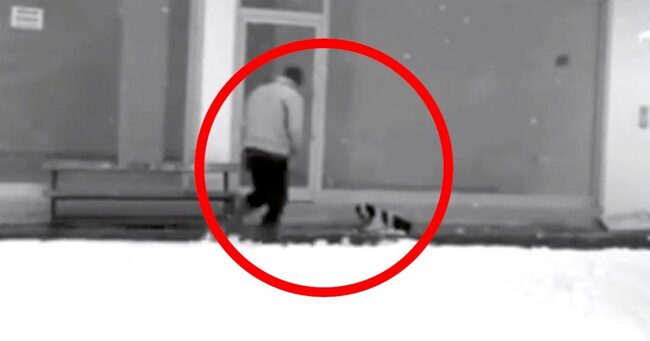 男の中の男だ 雪の中 外で寒そうにする野良犬に近づく男性 監視カメラに映った男性のイケメンすぎる行動に賞賛の声 ニコニコニュース