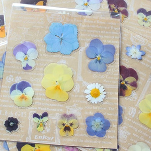 押し花 ラミネート