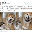 イッヌとは イッヌとは 単語記事 ニコニコ大百科