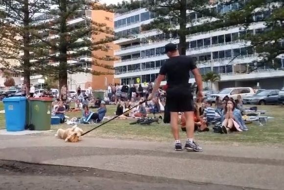 犬社会に横行している散歩から帰りたくないときの最終手段 ザ 死んだふり ニコニコニュース