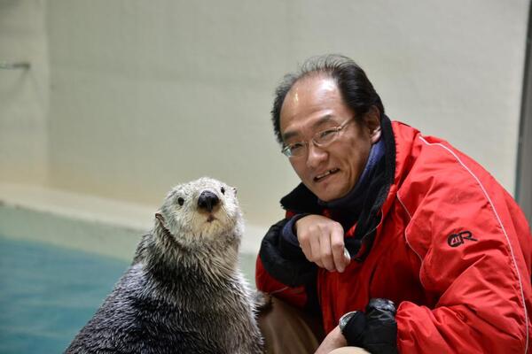 何この通じあってます感 おじさん ラッコのふれあいが最高に癒される ニコニコニュース