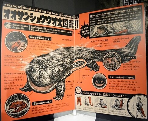 完全に 怪獣図鑑 のノリ 京都水族館のオオサンショウウオ展示がレトロで最高だった ニコニコニュース