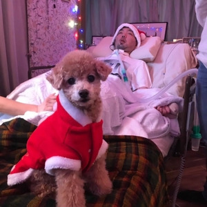 Merry Bright 脳波イルミネーション ニコニコニュース