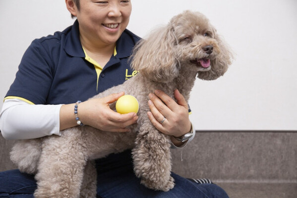 ワンちゃんのトロ顔に釘付け 卵型 犬用マッサージャー で愛犬のストレスケア ニコニコニュース