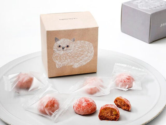 ホロホロ食感がたまらニャい 猫のイラストパッケージも可愛い ねこねこクッキー が新発売 ニコニコニュース