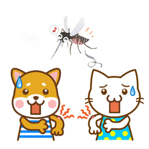 犬や猫も人間のように 蚊 に刺される かゆみを感じることは ニコニコニュース