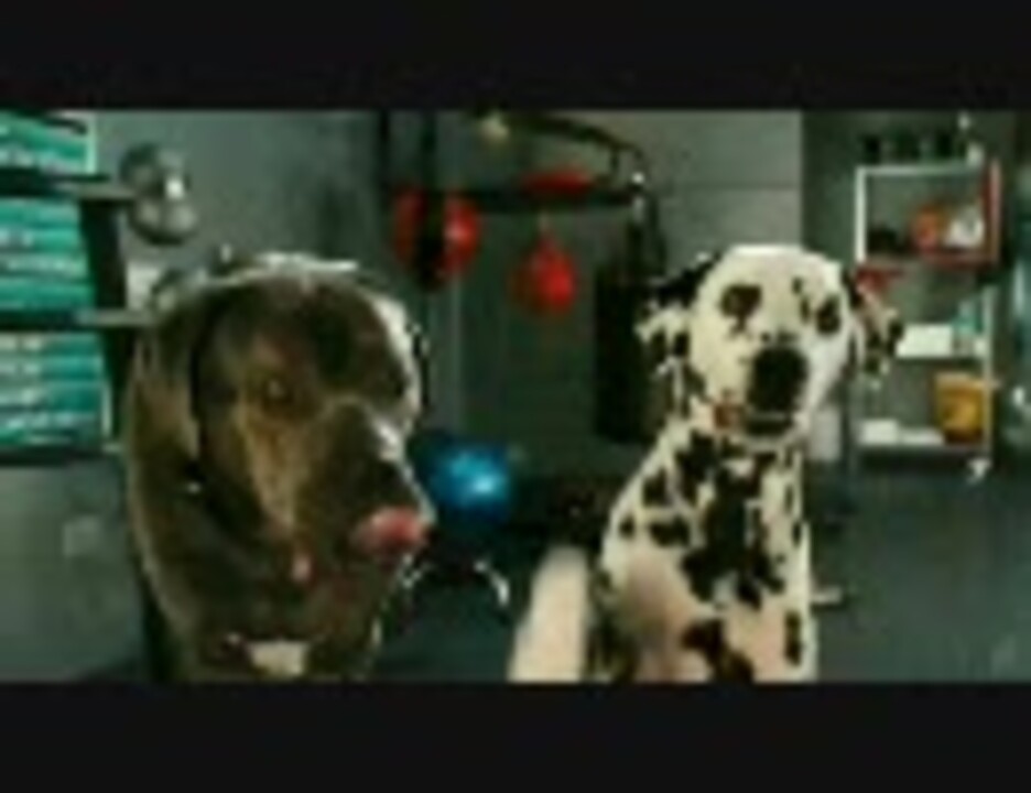 映画 キャッツ ドッグス キティ ガロアの復讐 予告編 ニコニコ動画