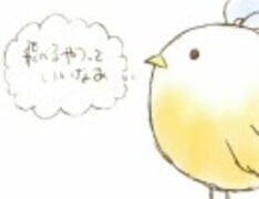 【感情的に】ソラトバズ【歌ってみた】