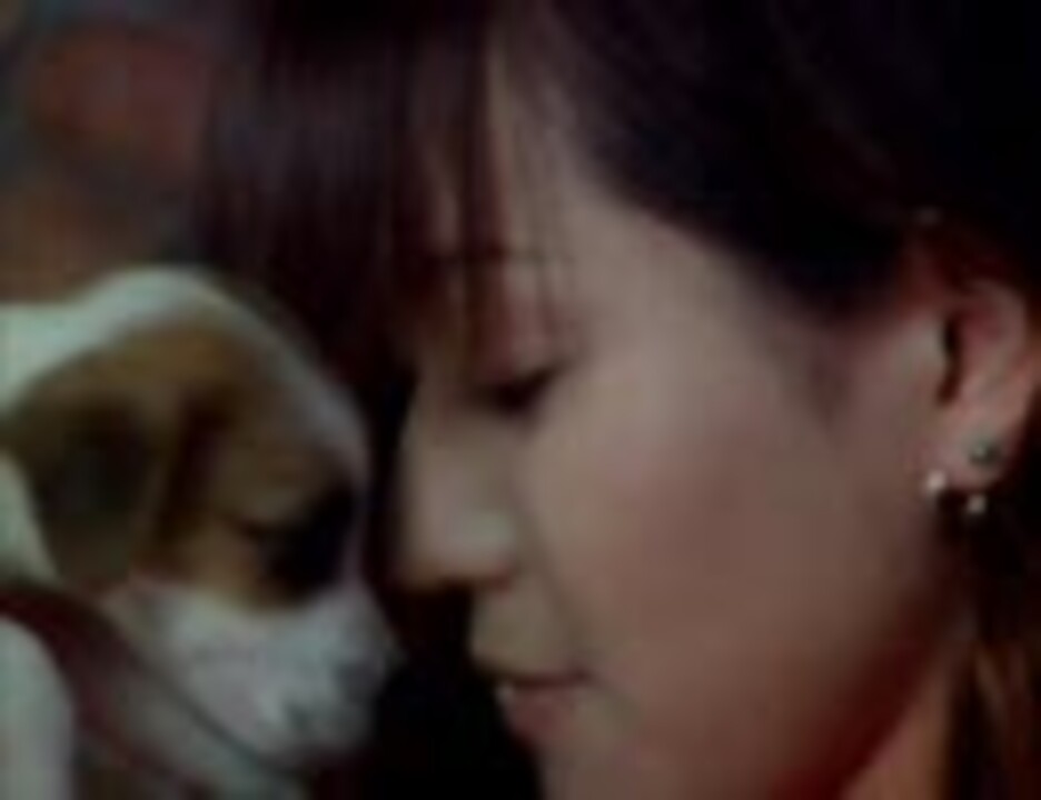 Close My Love Favorite Blue ニコニコ動画