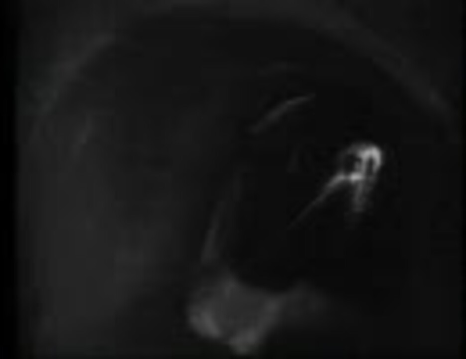 第三の男 Part08 ニコニコ動画