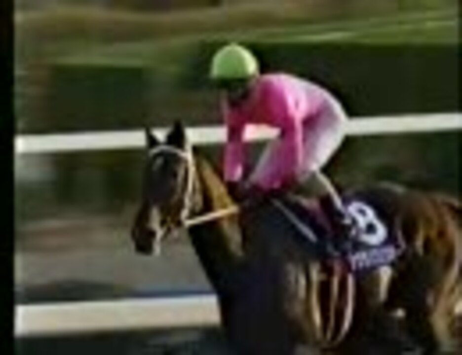 サクラバクシンオー 1994年 第28回 スプリンターズステークス 的中馬券