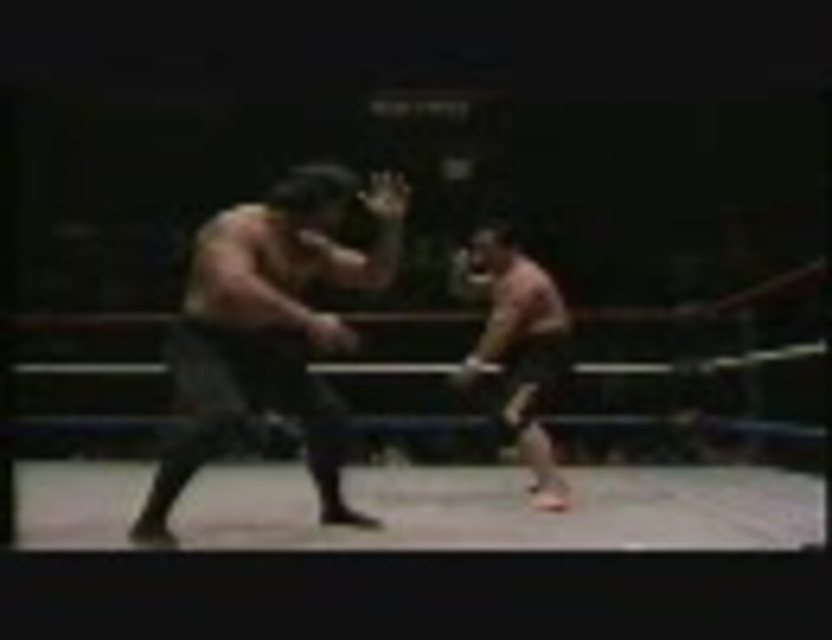 【WWE/WWF】リッキー・スティムボートvsMr.フジ【クラシックス】 ニコニコ動画