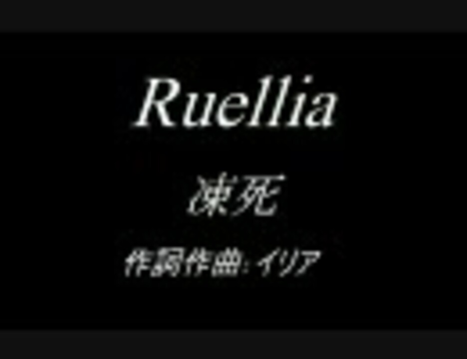 Ruellia「凍死」