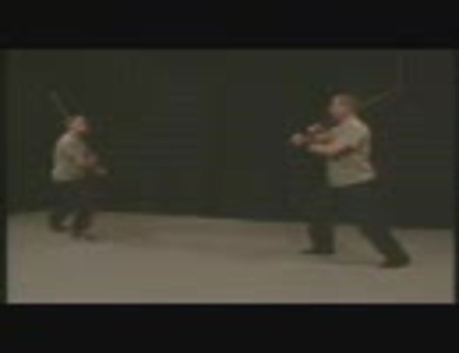 西洋剣術（両手剣）の型をいくつか解説する動画 - ニコニコ動画