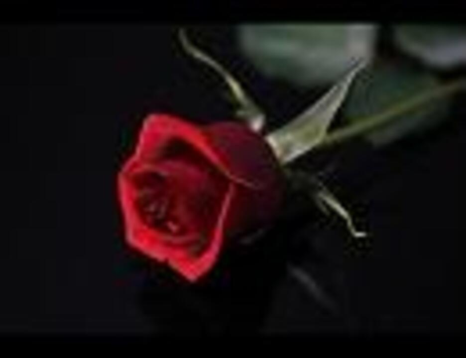 10年版 溺愛ロジック 堂本剛 By Masa3934 ニコニコ動画