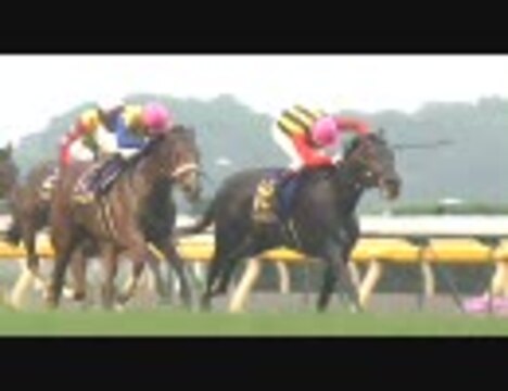 人気の「アパパネ」動画 72本 - ニコニコ動画