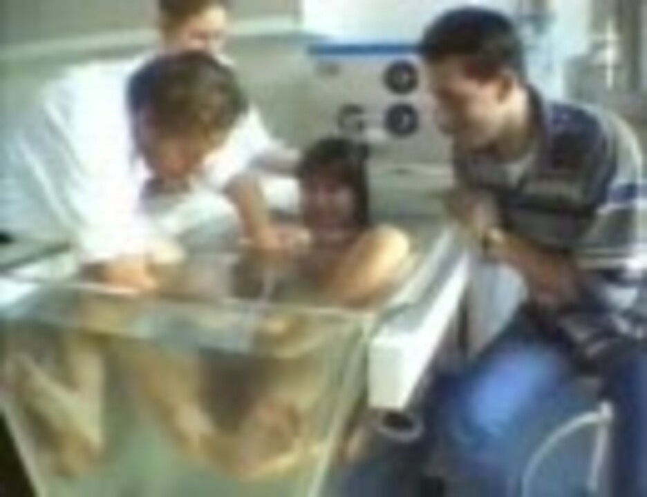 回覧注意 透明な水槽内での水中出産映像 ニコニコ動画