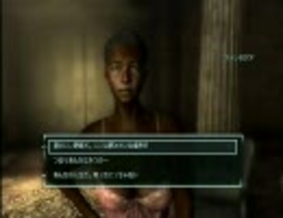 オファー fallout3 bbガン縛り