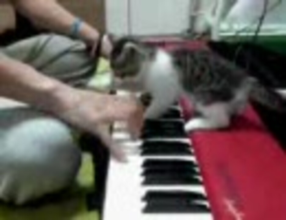 人気の たけもとピアノ 動画 本 2 ニコニコ動画