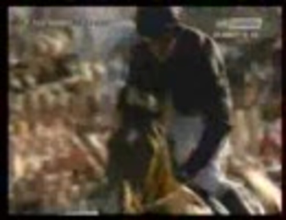 2007/10/07凱旋門賞Prix de l'arc de triomphe - ニコニコ動画