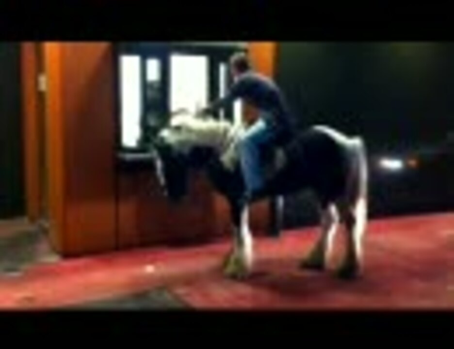 馬でドライブスルーしてみた ニコニコ動画