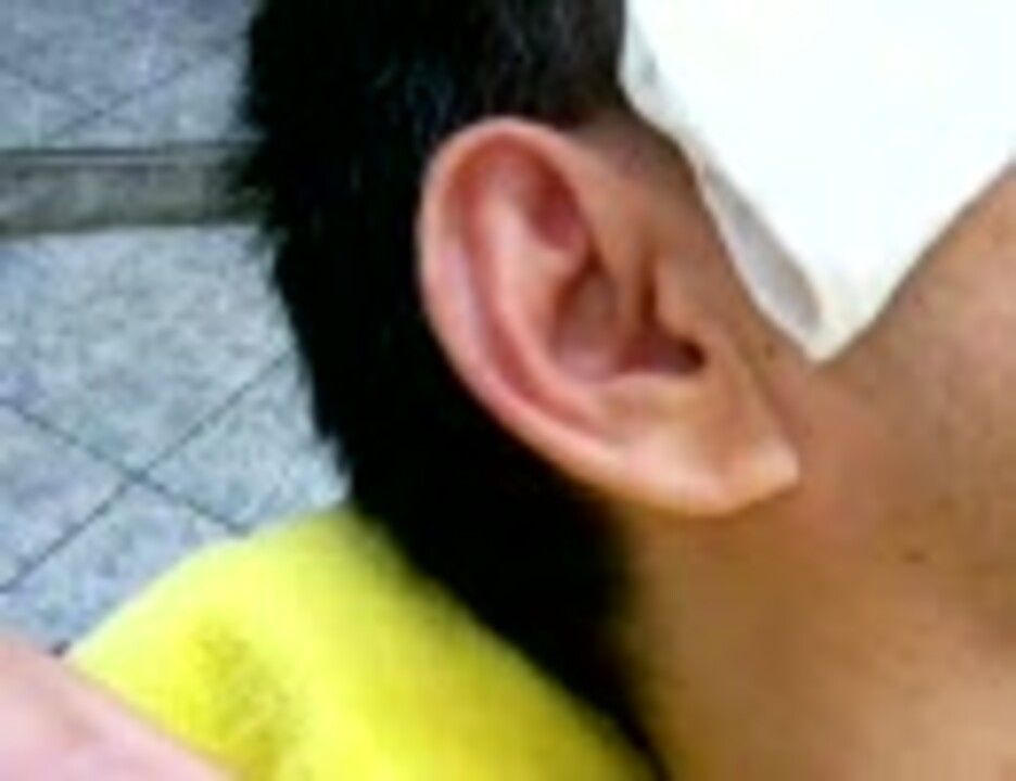 人気の バーバーヤナギ 動画 9本 ニコニコ動画