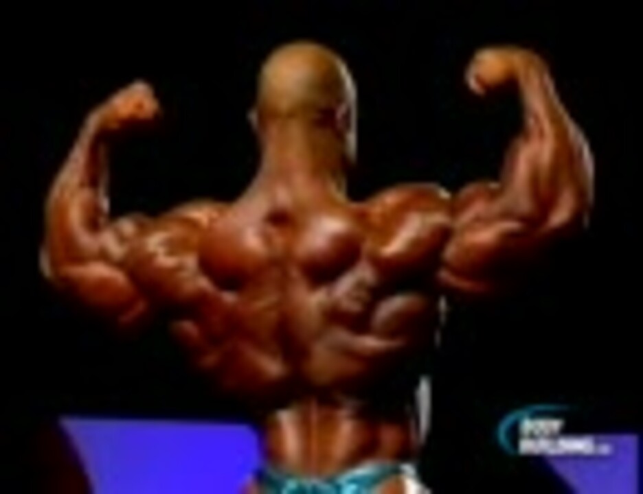 人気の ボデぃびる 動画 1 386本 10 ニコニコ動画