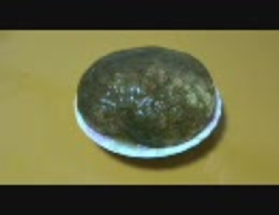 謎の生物 オオマリコケムシ食べてみた 佐賀県 ニコニコ動画