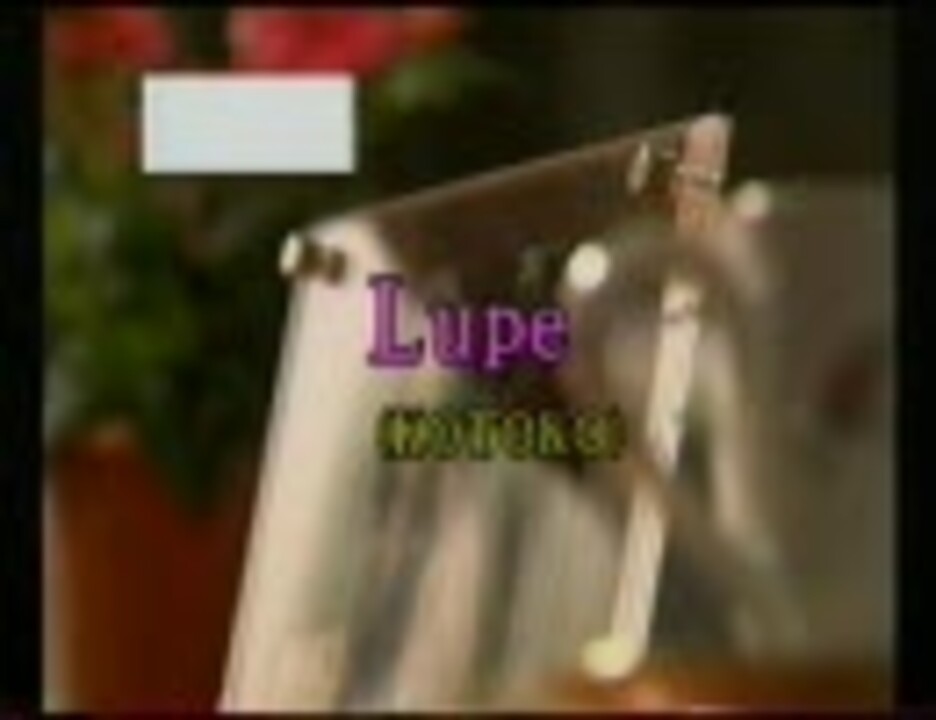 Lupe