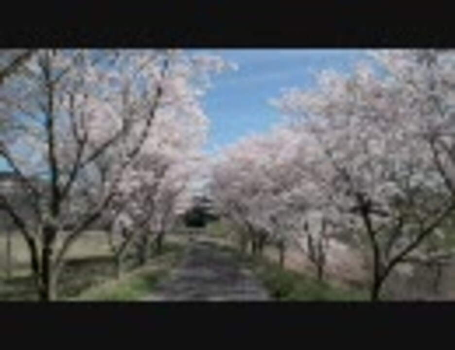 人気の 桜 動画 4 125本 37 ニコニコ動画
