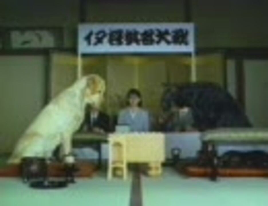 ほねっこ　ゴン太シリーズ　1993年～1998年