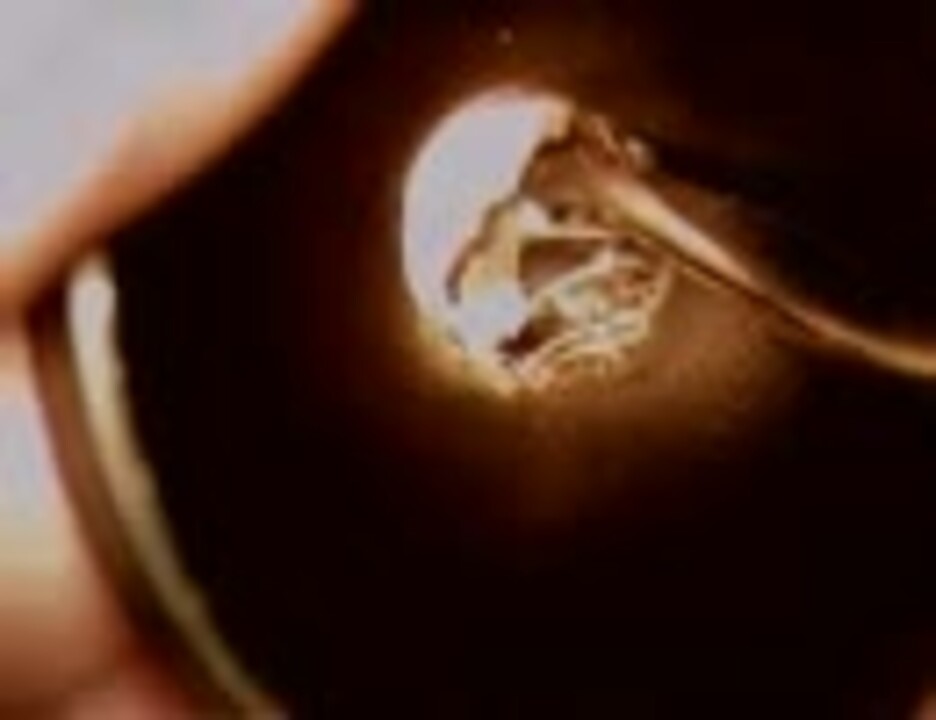 人気の 耳掃除 耳垢 動画 66本 ニコニコ動画