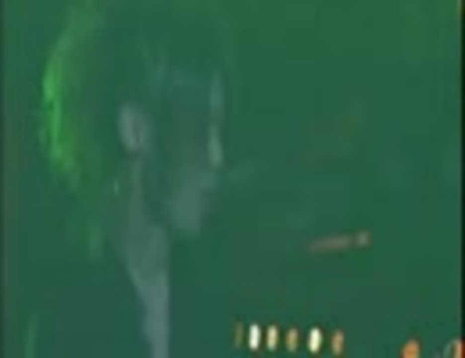 極東乱心天国 武道館ライブ ２００９ 咲人目線 ニコニコ動画