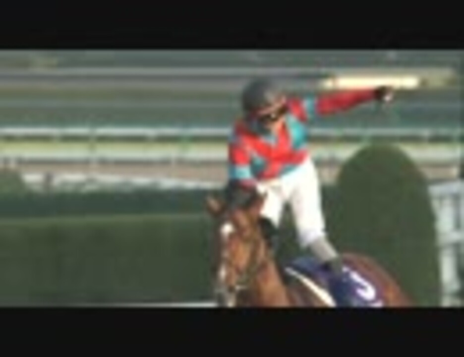 【競馬】 2010 ジャパンカップダート トランセンド 【全部盛り】 - ニコニコ動画