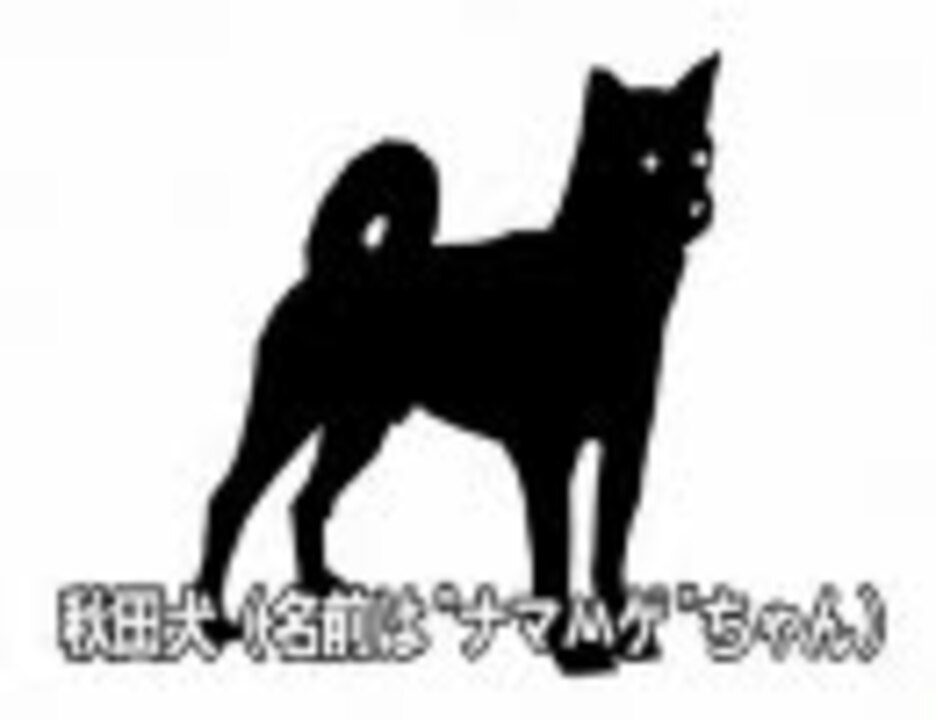 犬飼いたい でも 猫飼いたい 高画質 ニコニコ動画