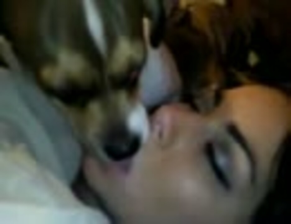 爆睡中の女性の口をペロペロする犬 ニコニコ動画