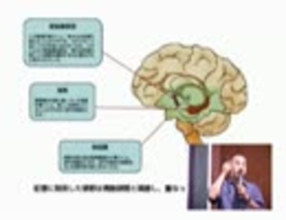 下條信輔 「情動－体と心を動かすもの」 2/2 ニコニコ動画